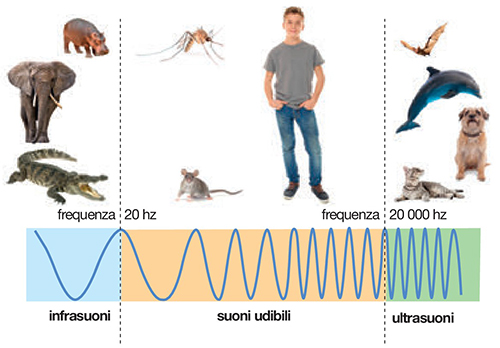 Tabella con i vari parametri tra uomo ed alcuni animali