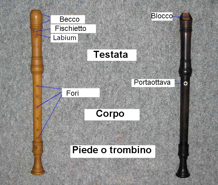 struttura flauto dolce