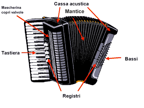 struttura della fisarmoca